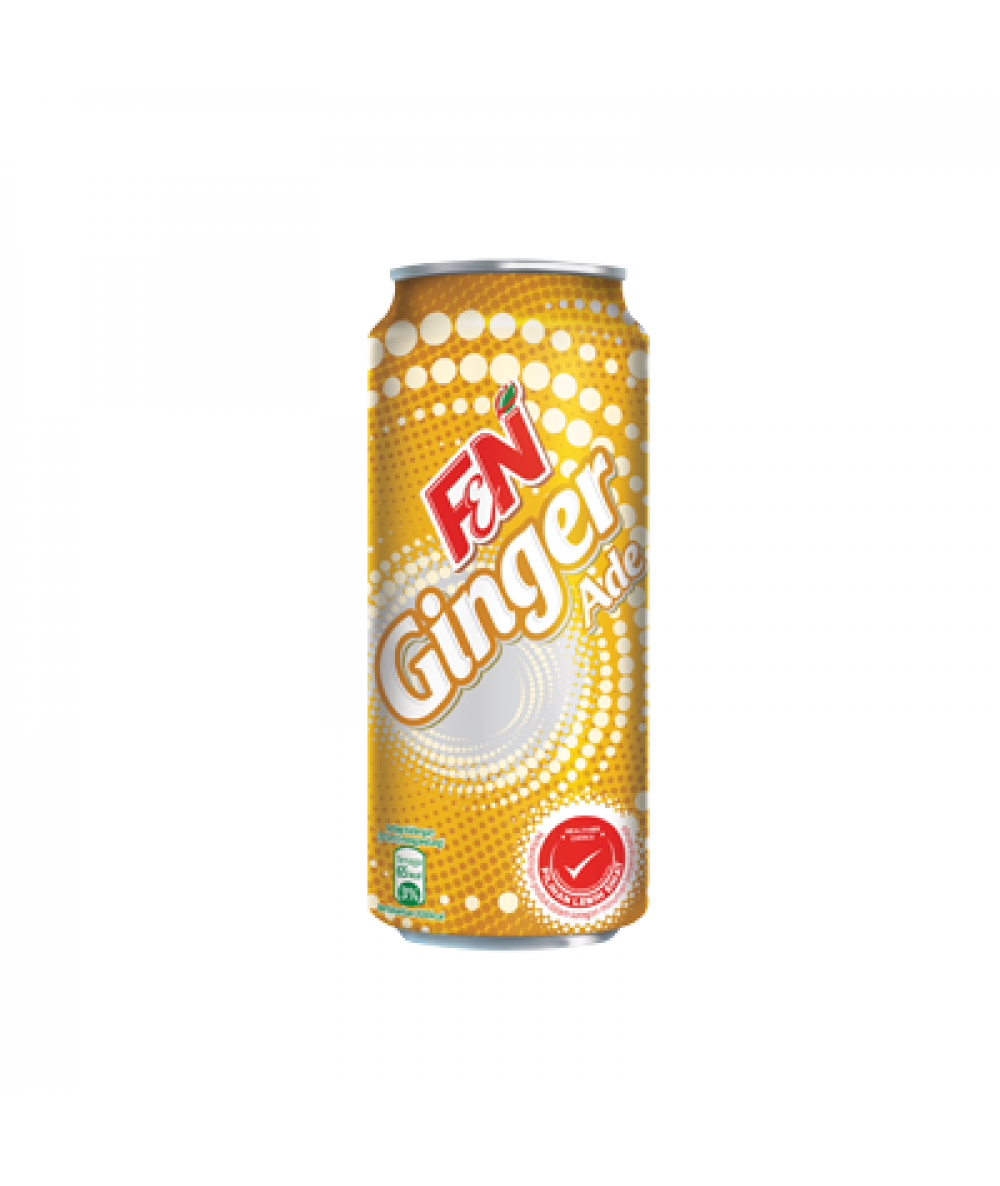 F&N S D GINGER ALE 325ML