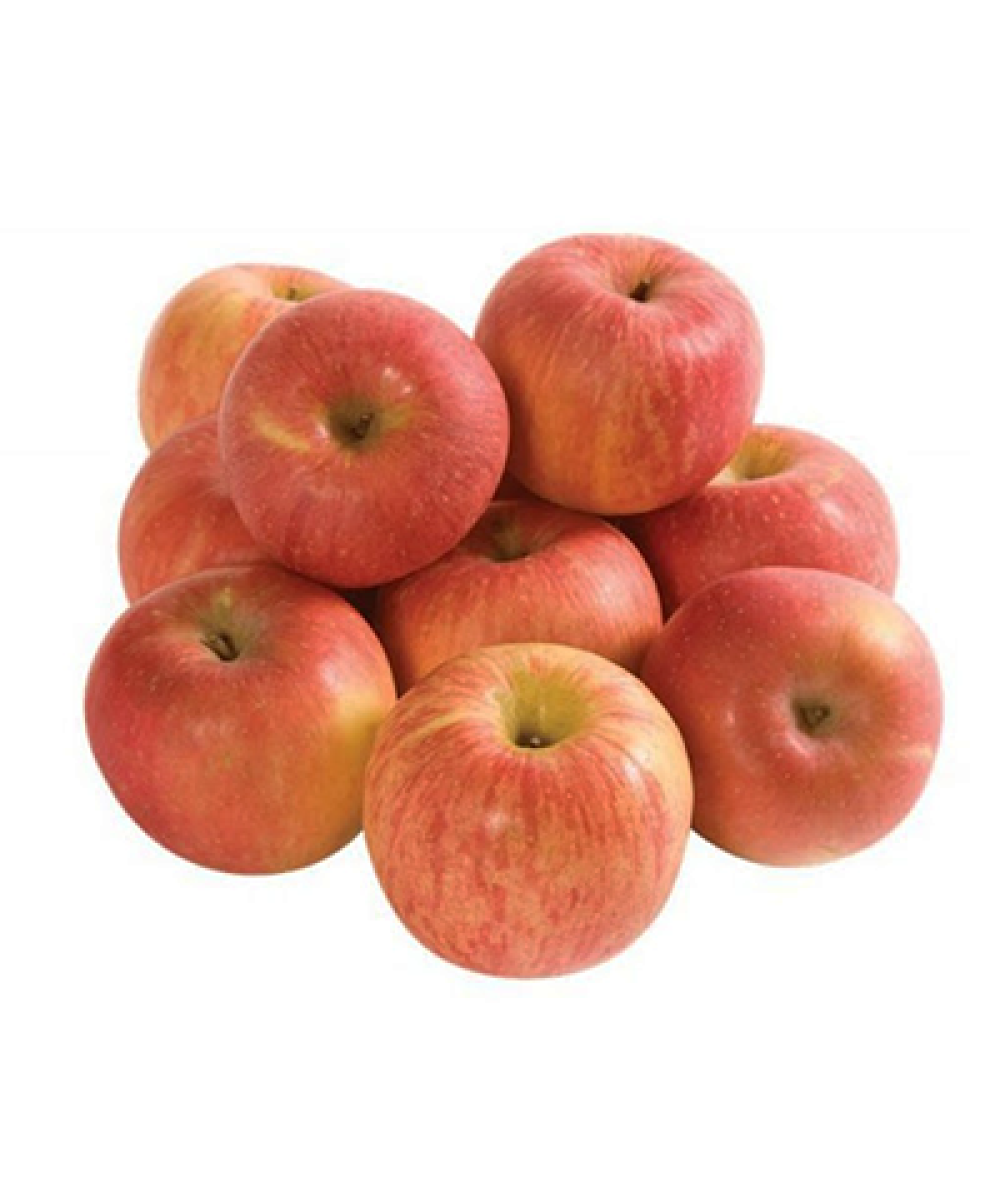 UF APPLE (FUJI) CHN 10'S/PACK