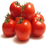 AA TOMATO CAMERON *KG