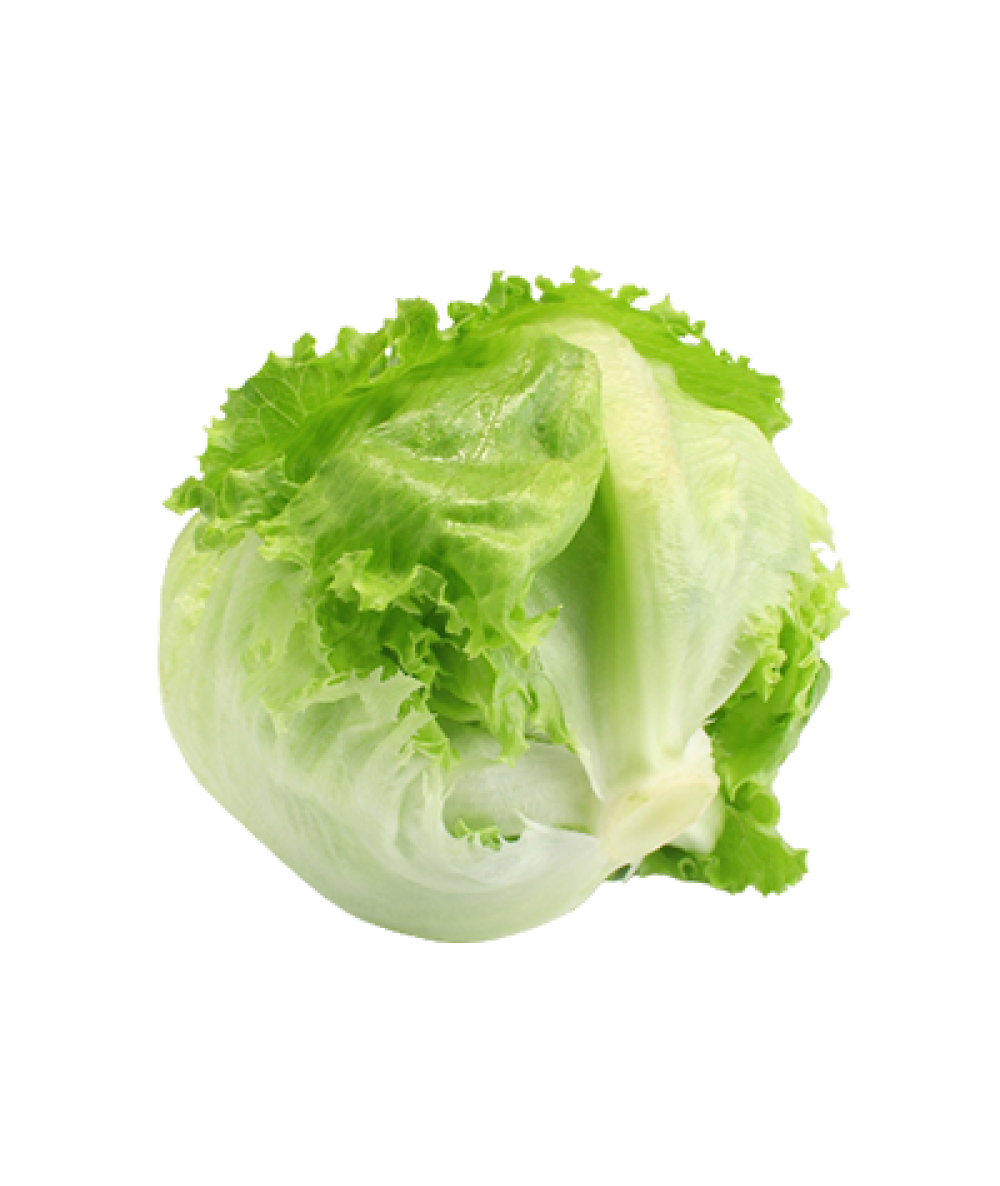 SFL ICEBERG LETTUCE 350G