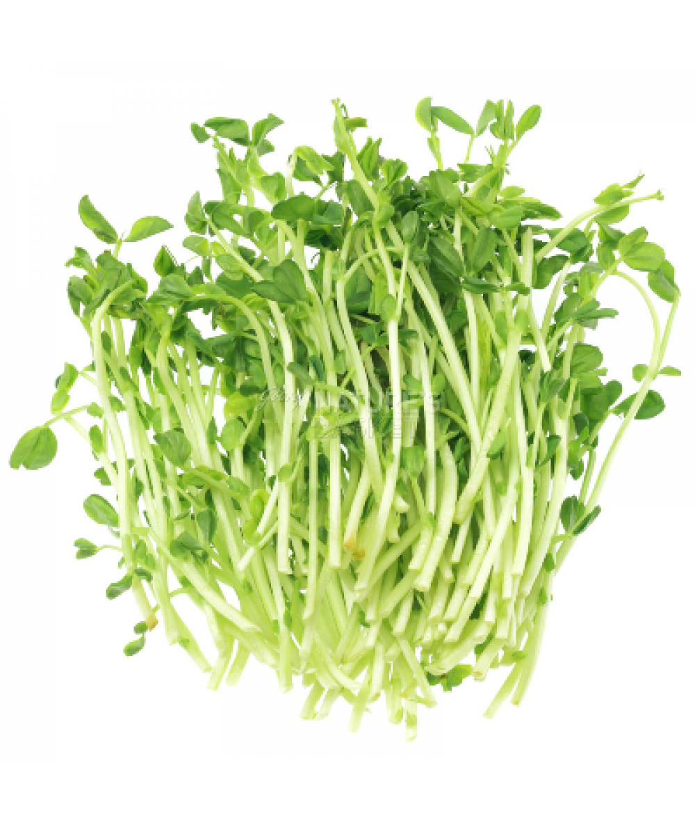 BF ORGANIC PEA SPROUTS 200G