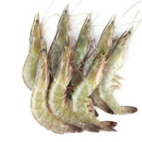 AA UDANG SEGAR (MEDIUM) * KG